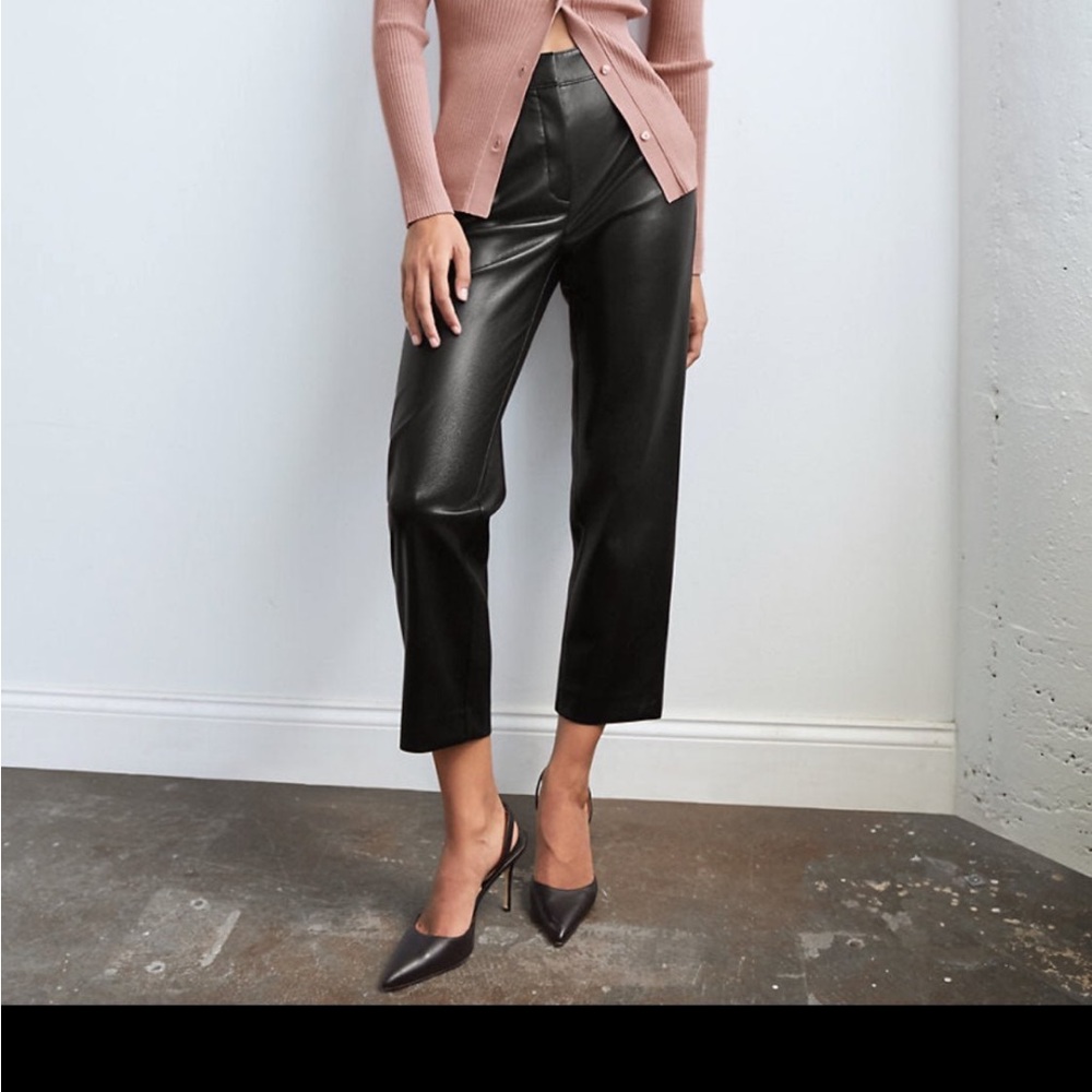 Aritzia command pants